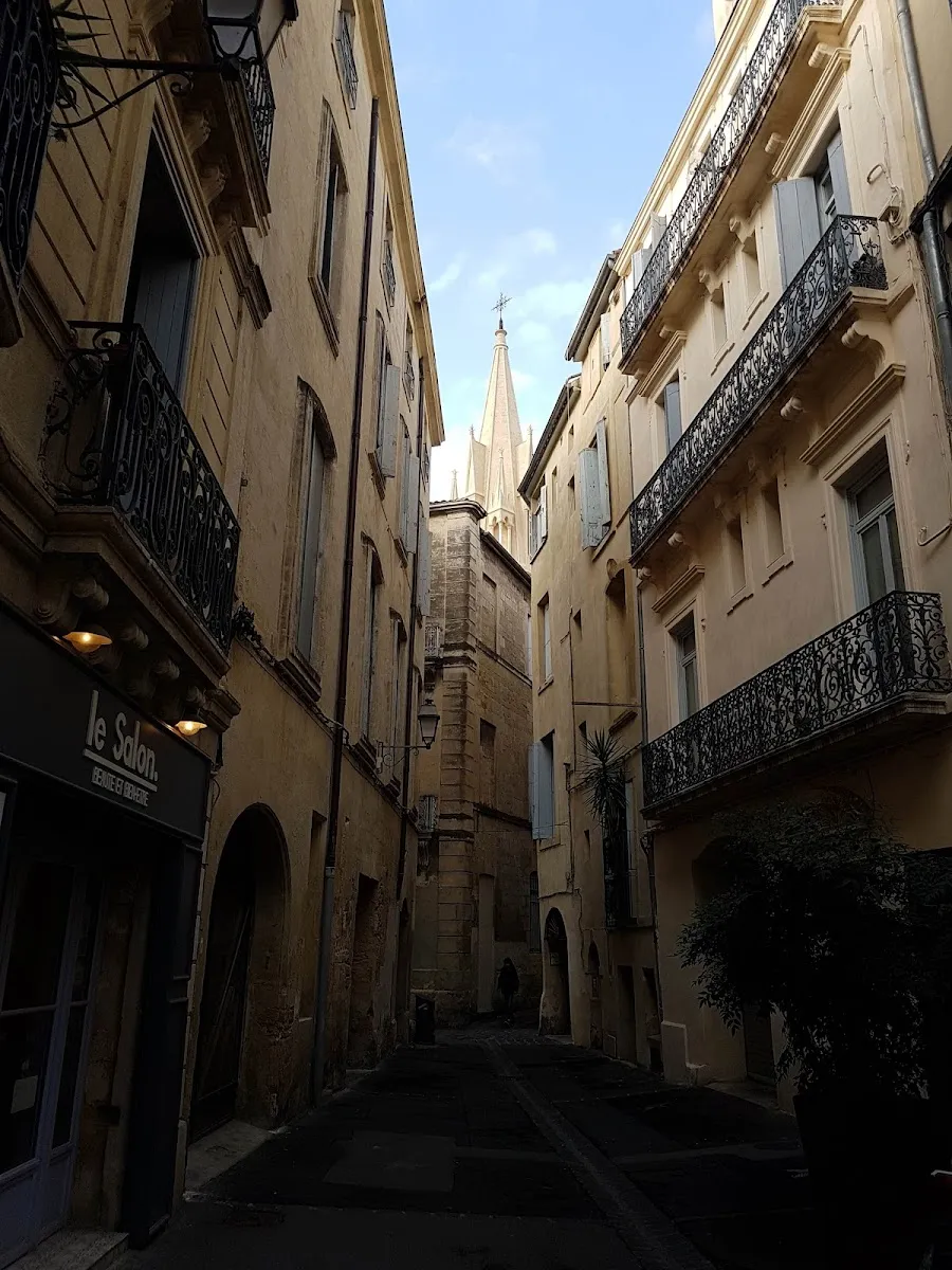 Galerie Samira Cambie