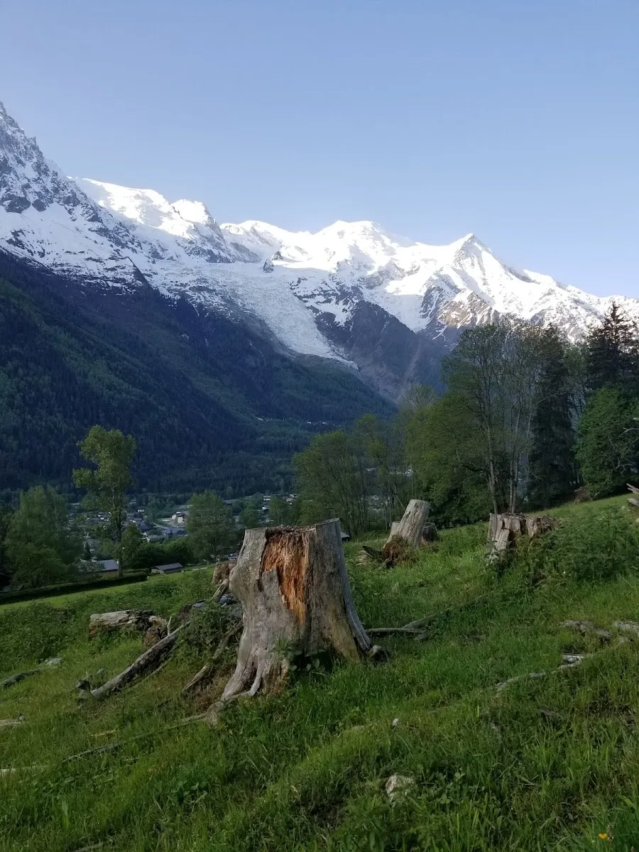 Geneviève Bouvier Memorial