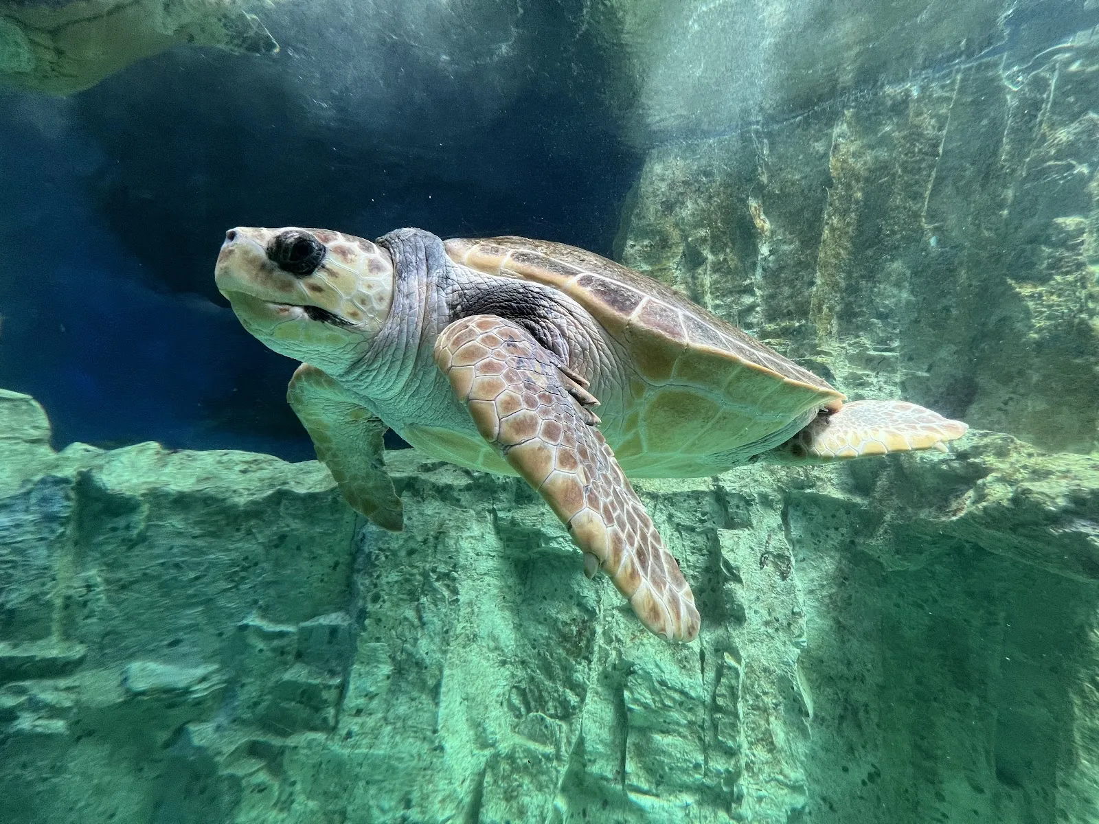 Grand Aquarium De Saint-Malo
