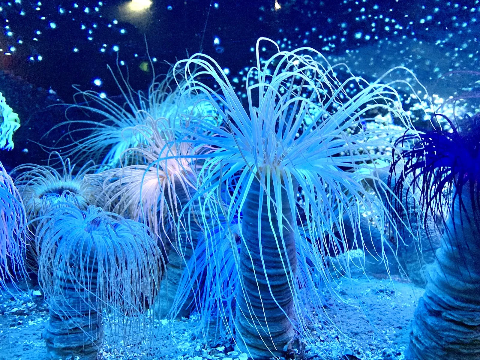 Grand Aquarium De Saint-Malo