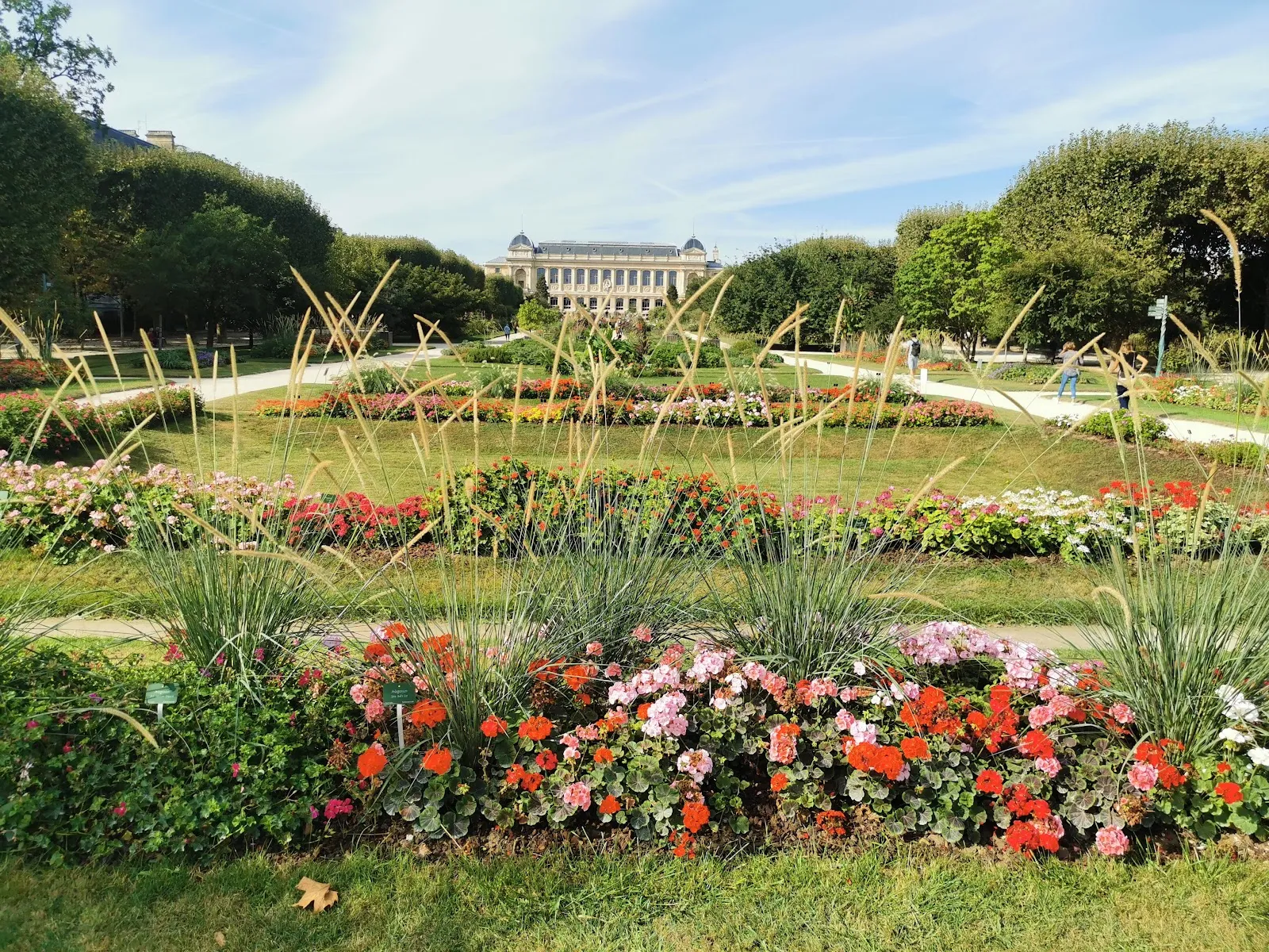 Grandes Serres Du Jardin Des Plantes