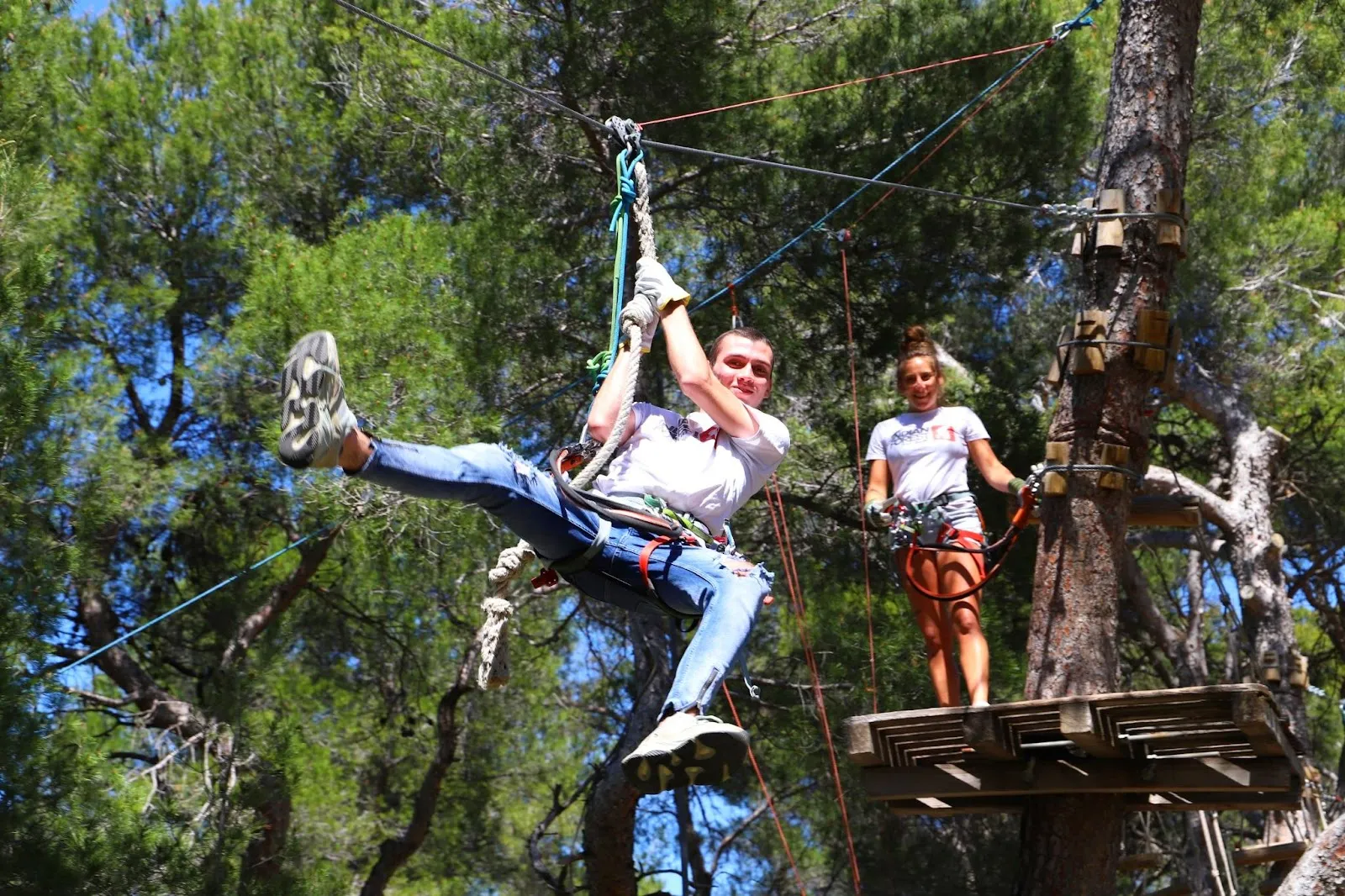 Indian Forest Bouc Bel Air