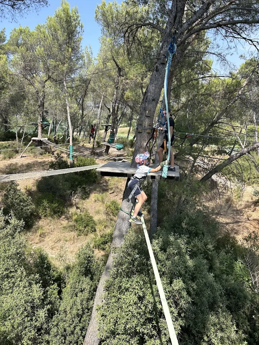 Indian Forest Bouc Bel Air