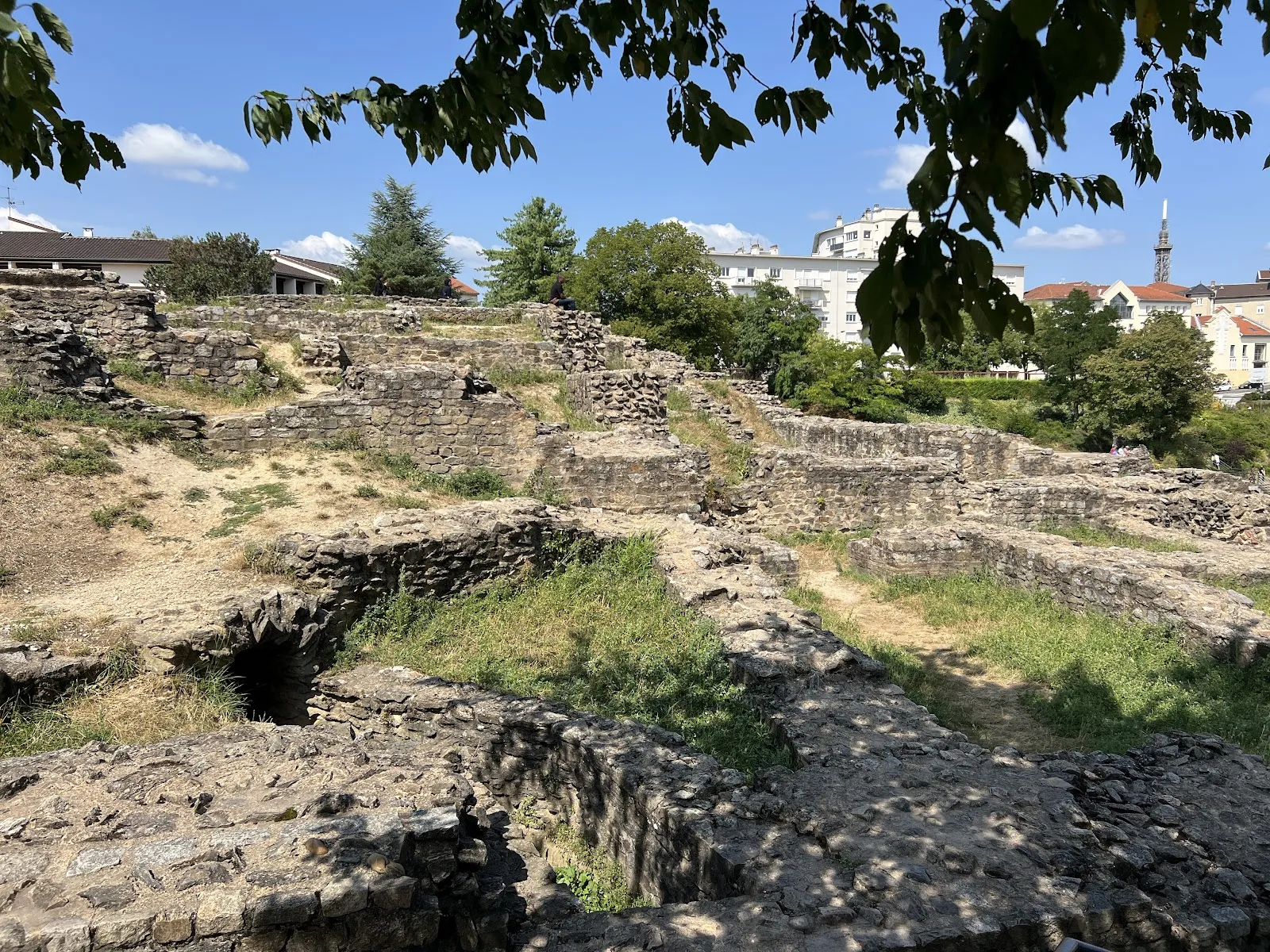 Insula Basilicale — photo 1