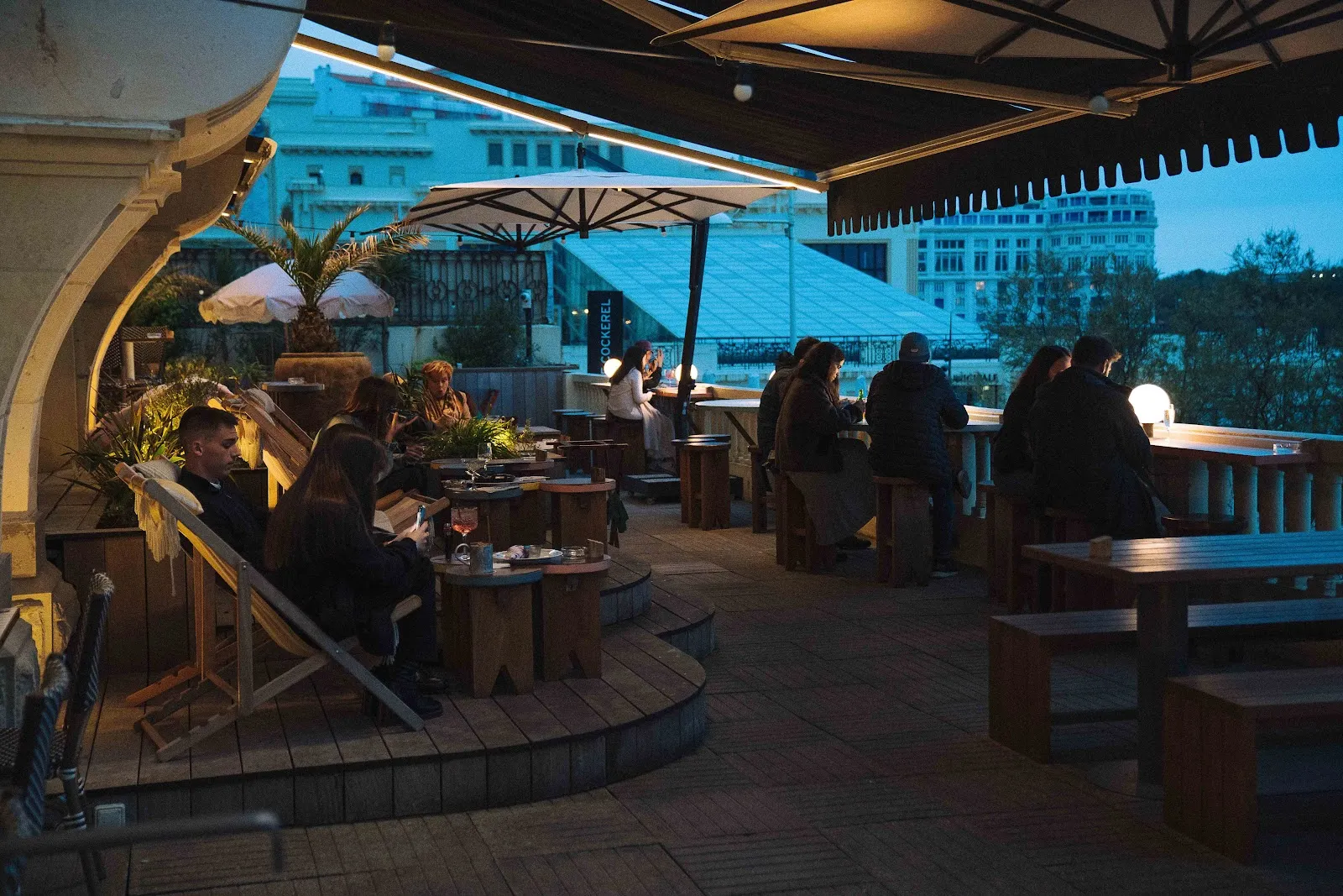 Jack The Cockerel — photo 1