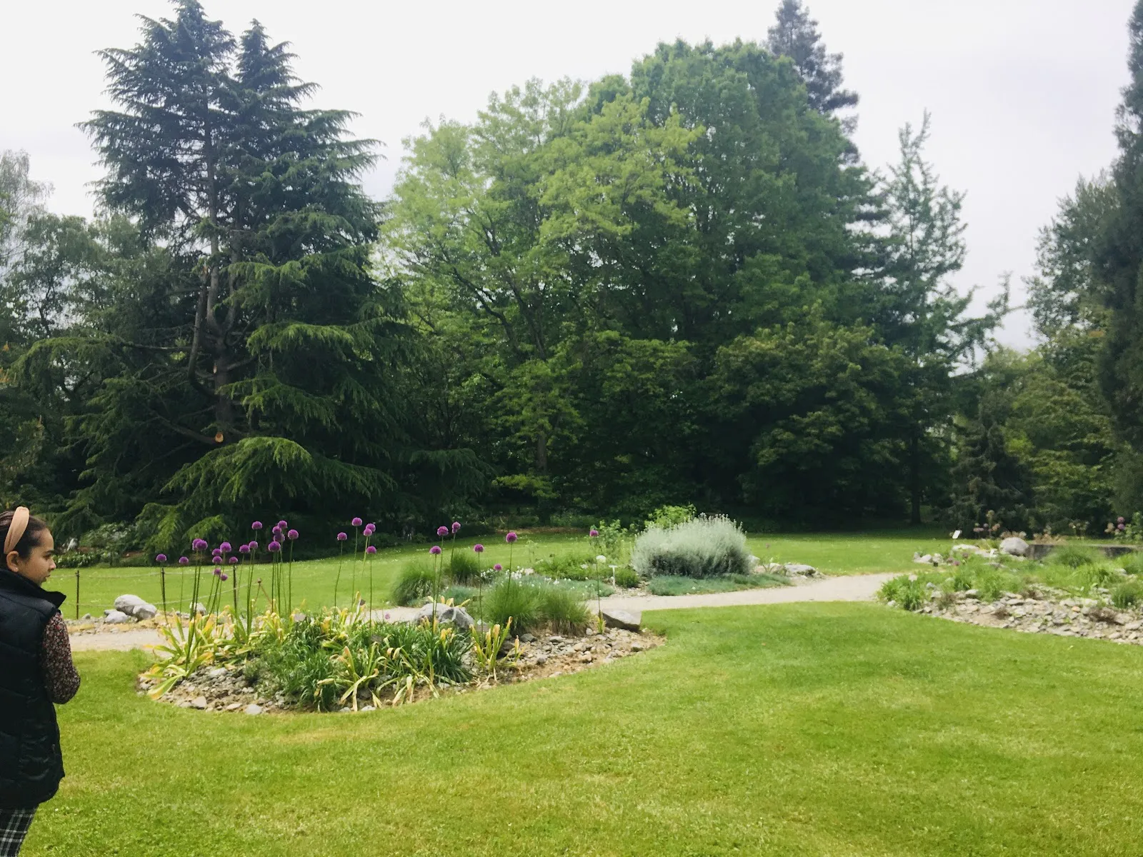 Jardin Botanique Alpin De Meyrin — photo 1