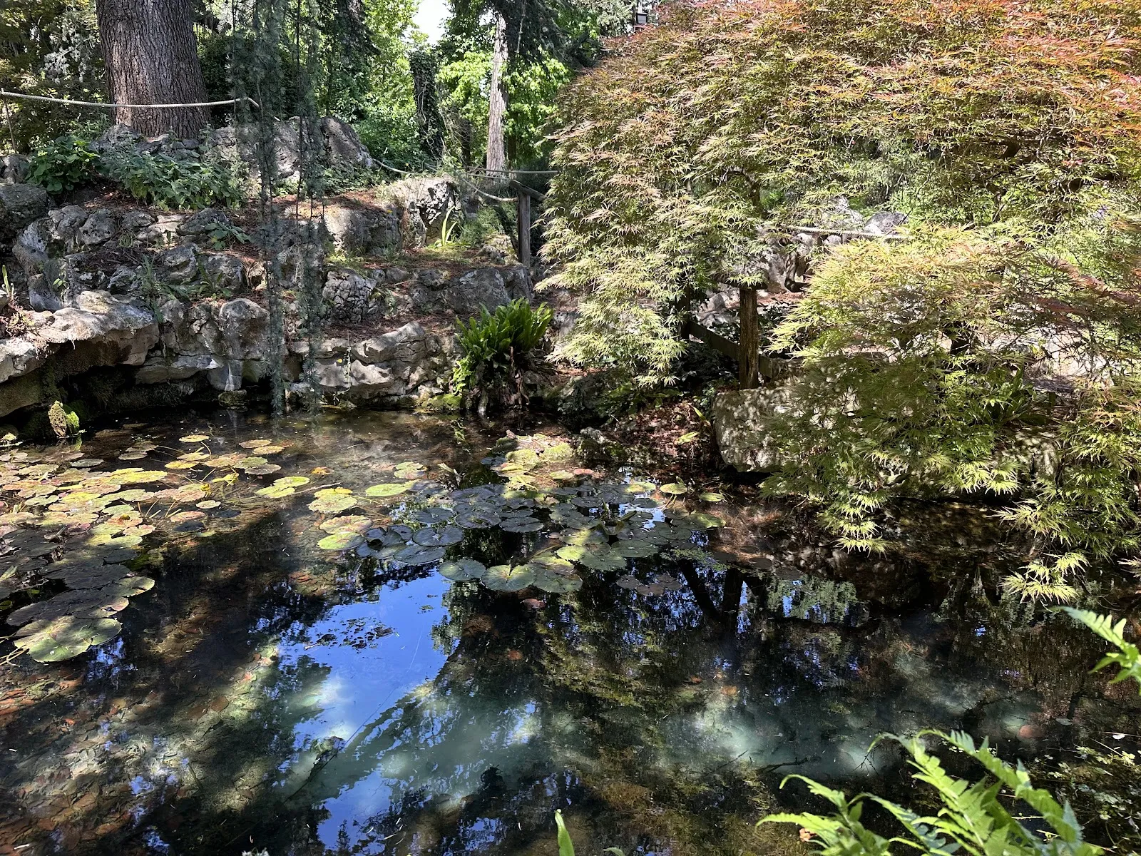 Jardin Botanique Alpin De Meyrin