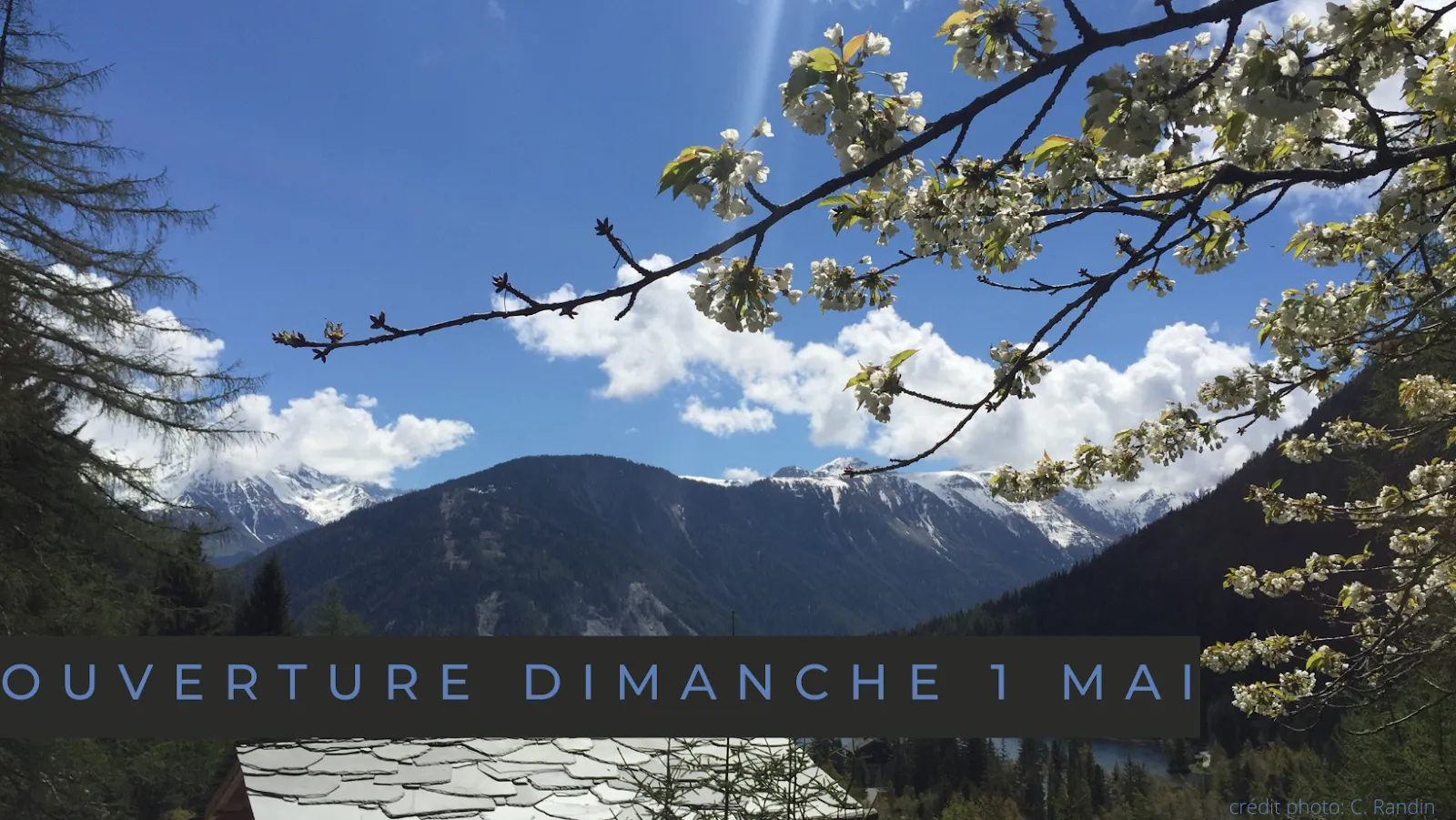 Jardin Botanique Alpin Flore-Alpe — photo 1