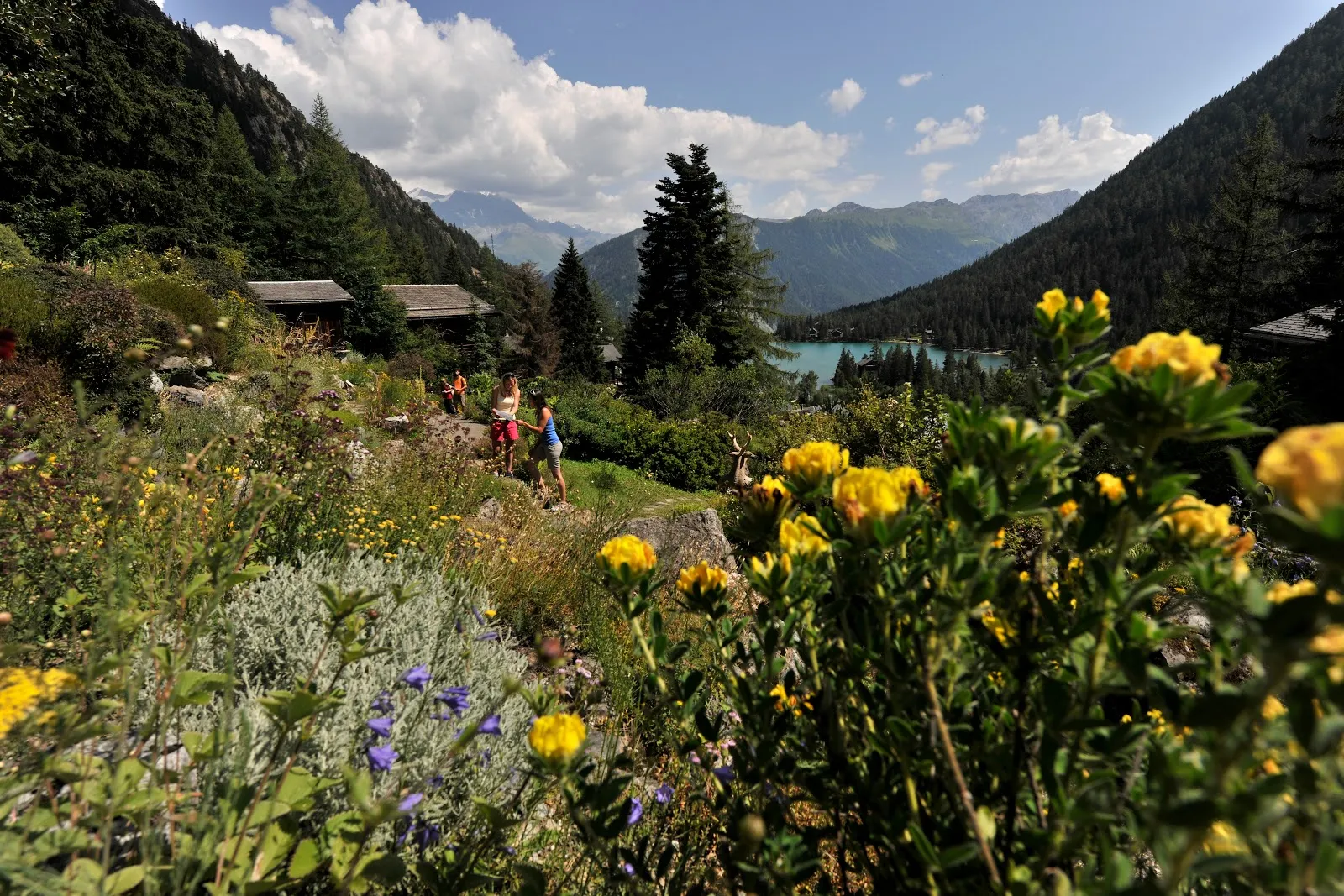 Jardin Botanique Alpin Flore-Alpe