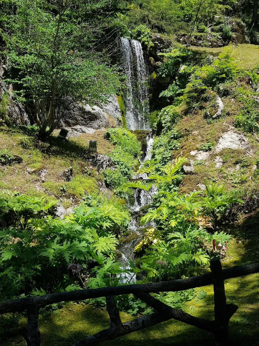 Jardin Botanique Alpin la Jaÿsinia — photo 1
