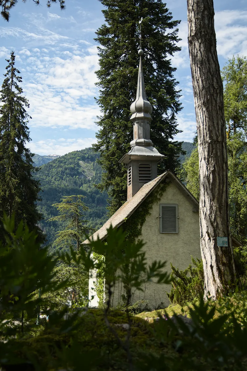 Jardin Botanique Alpin la Jaÿsinia