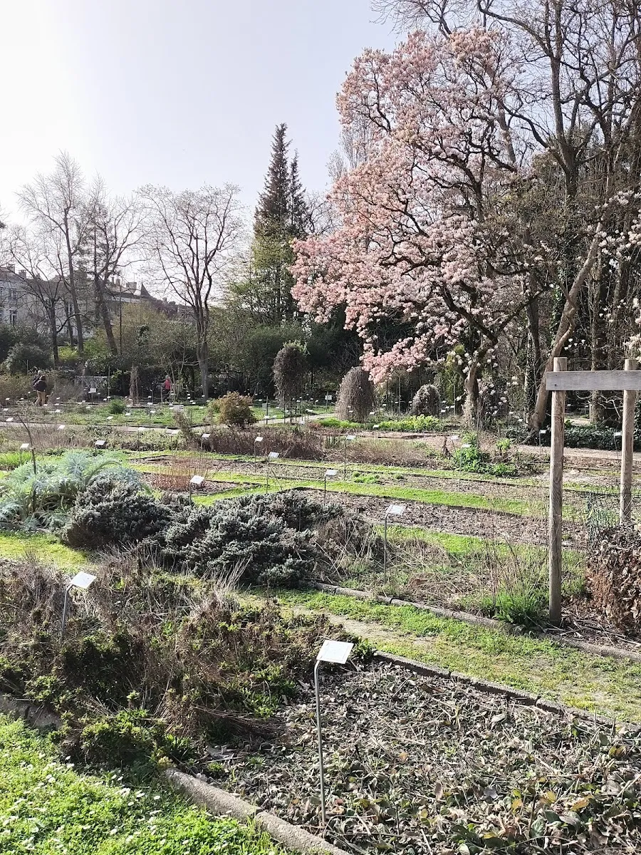 Jardin Botanique — photo 1