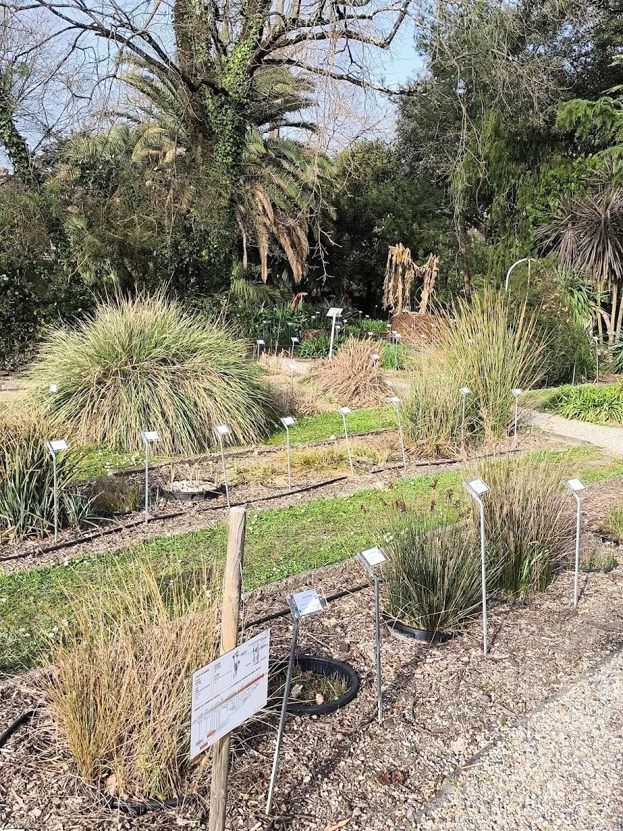 Jardin Botanique