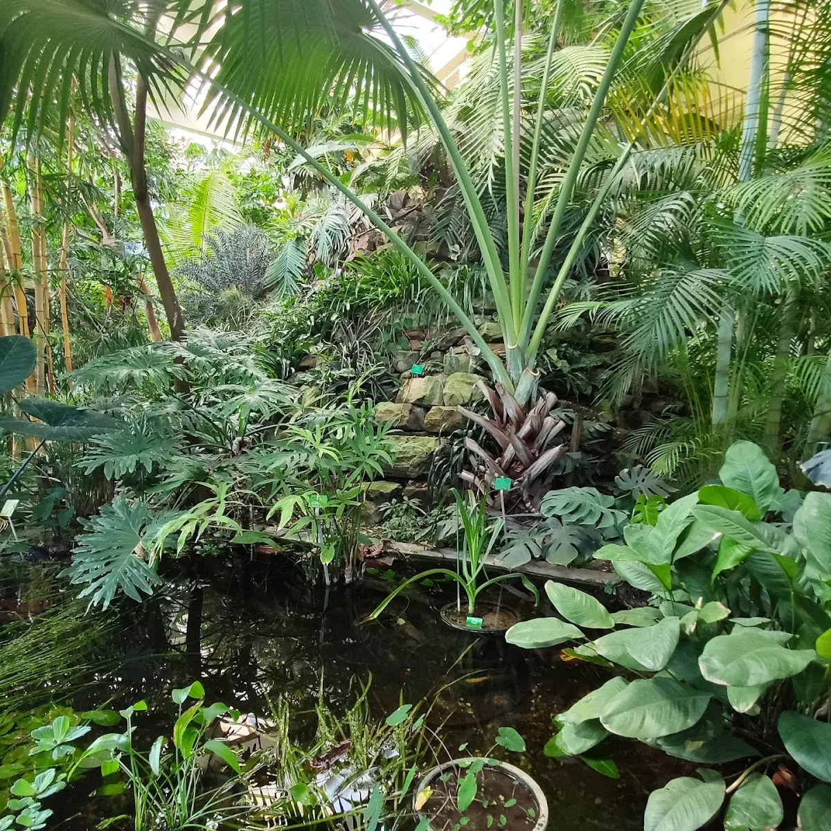 Jardin Botanique De L'Université De Strasbourg