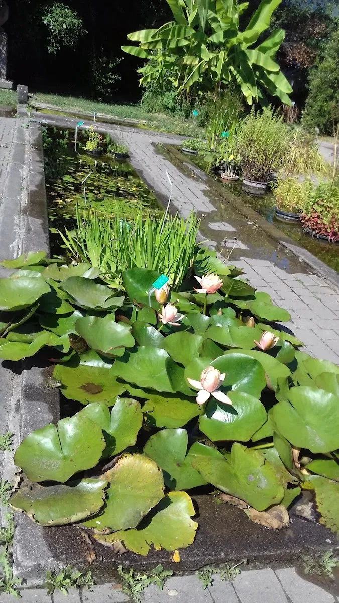 Jardin Botanique De L'Université De Strasbourg