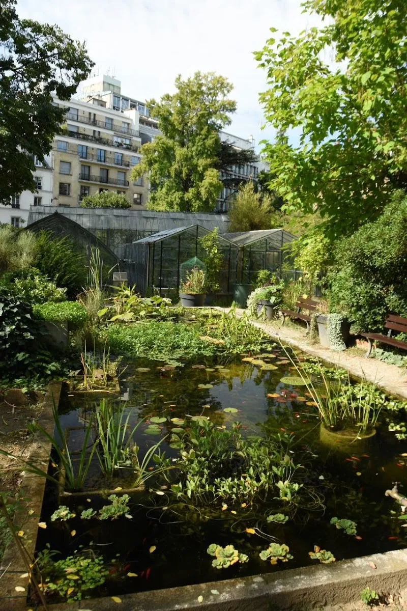 Jardin botanique de la Faculté de Pharmacie — photo 1