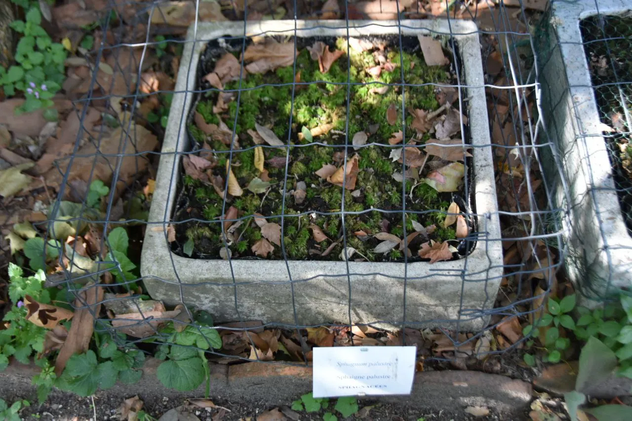 Jardin botanique de la Faculté de Pharmacie