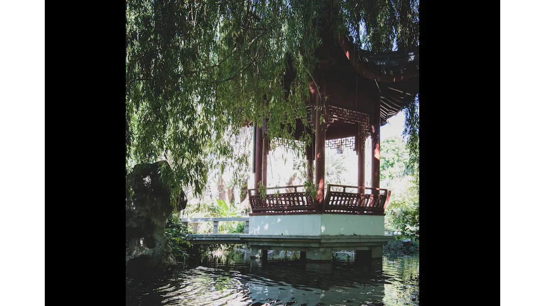 Jardin Botanique De la Ville De Marseille — photo 1