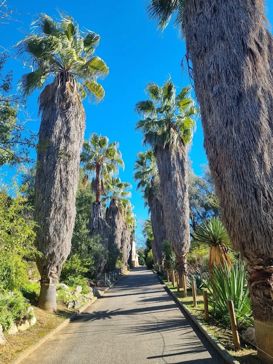 Jardin Botanique De Nice