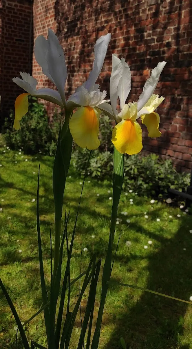 Jardin Botanique Nicolas Boulay