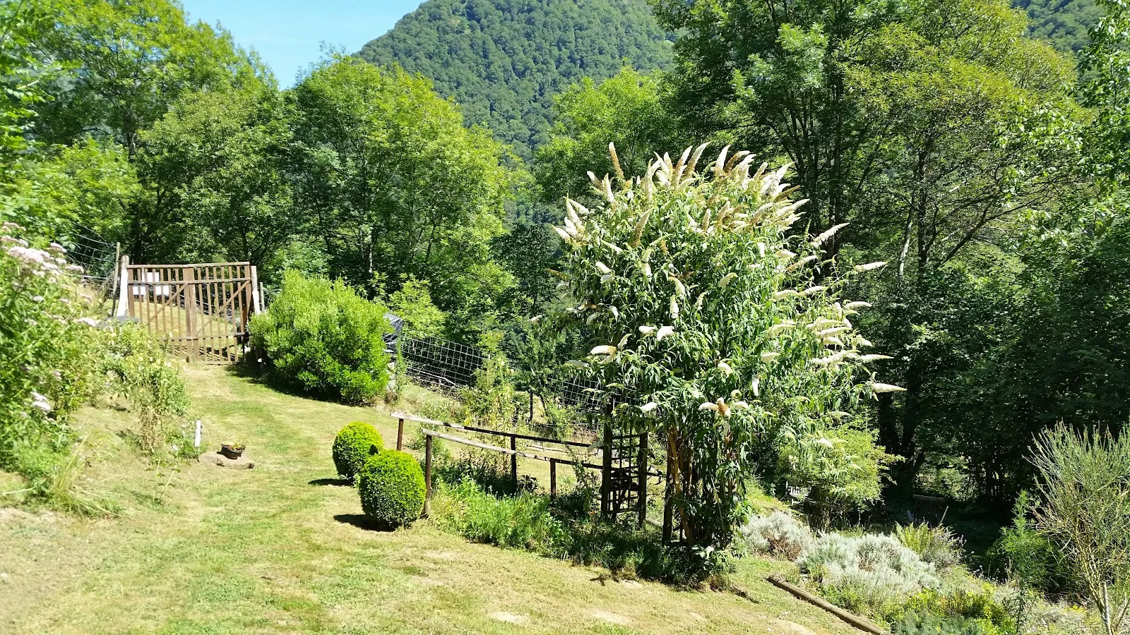 Jardin Botanique Pyrénéen De Melles — photo 1
