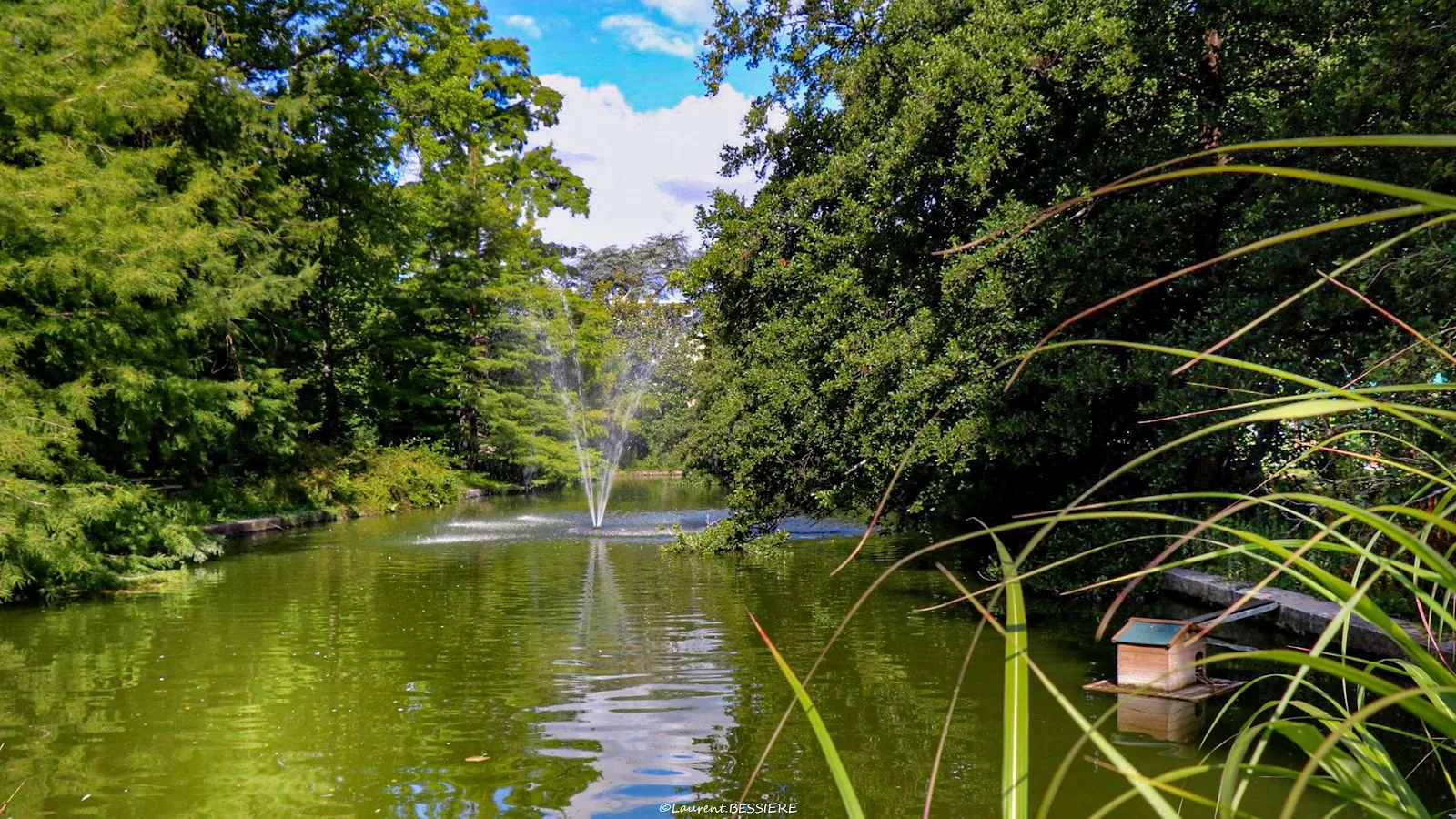 Jardin Botanique Universitaire