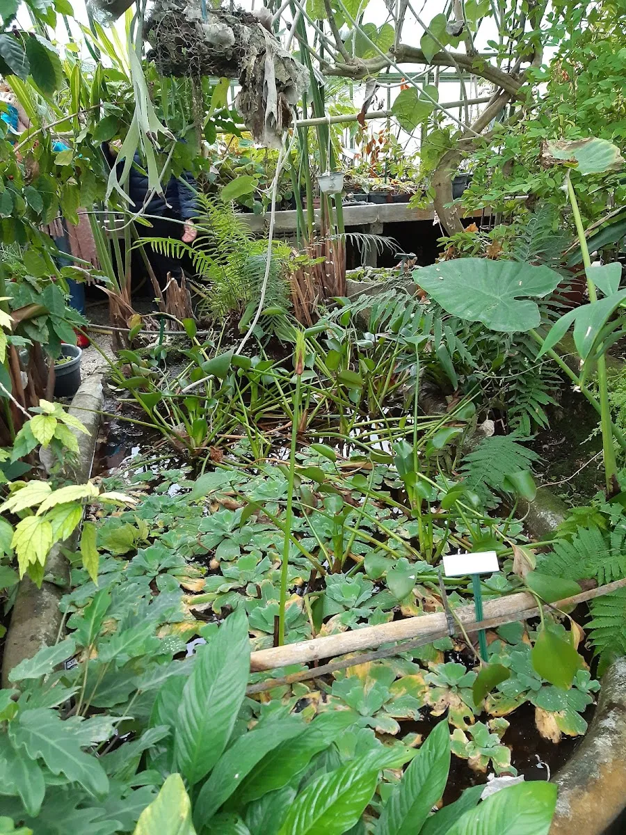 Jardin Botanique Universitaire
