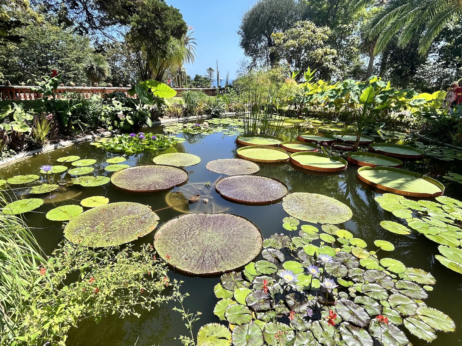 Jardin Botanique Val Rahmeh-Menton