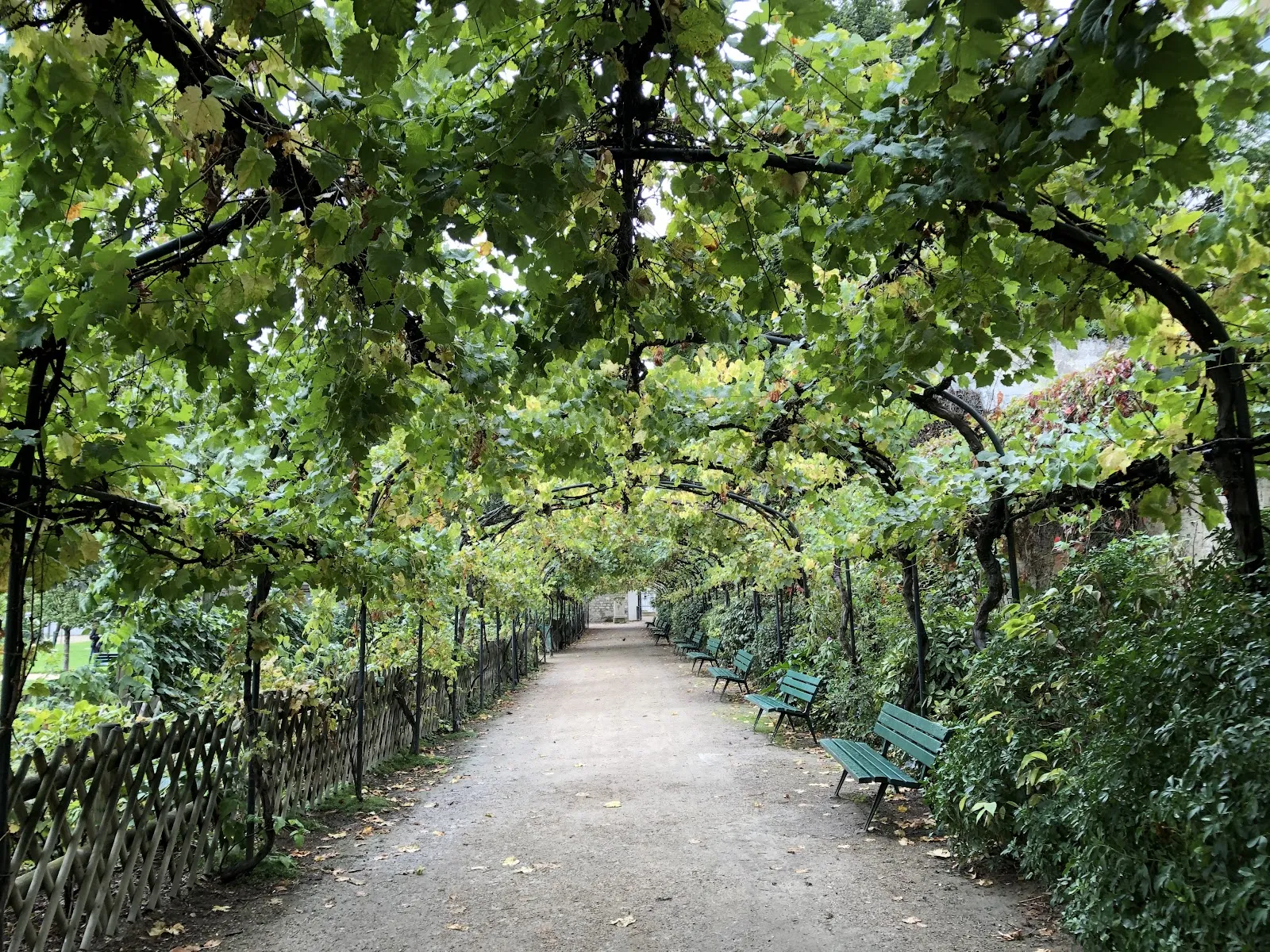 Jardin Catherine Labouré — photo 1