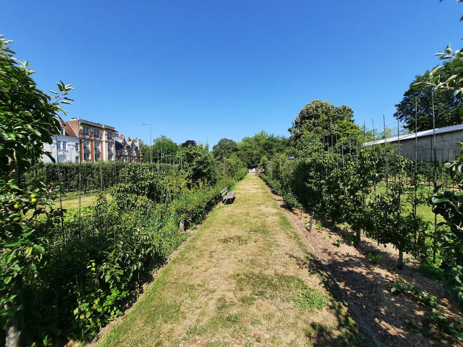 Jardin D'Arboriculture Fruitière