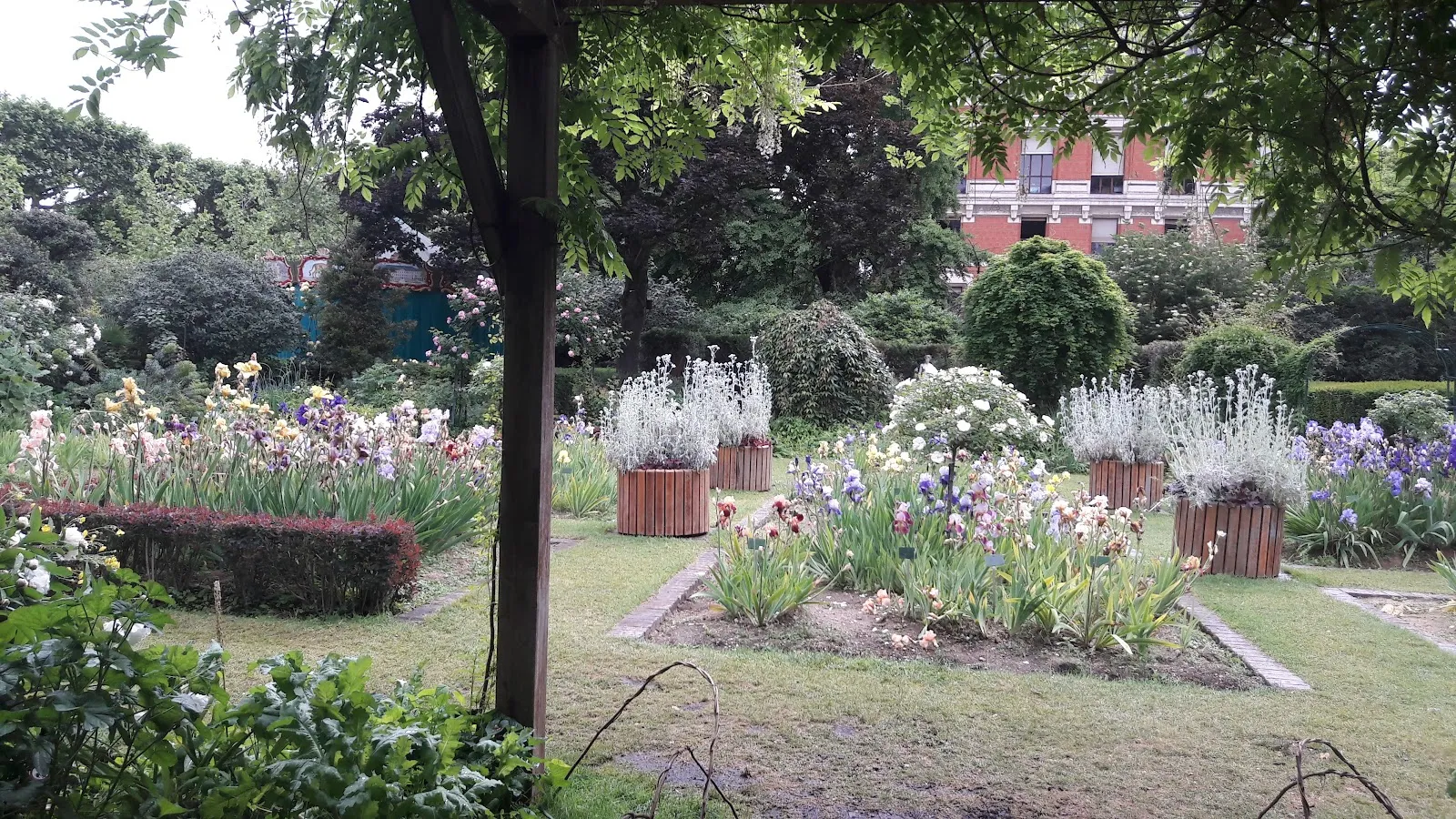 Jardin D'Iris Et De Plantes Vivaces