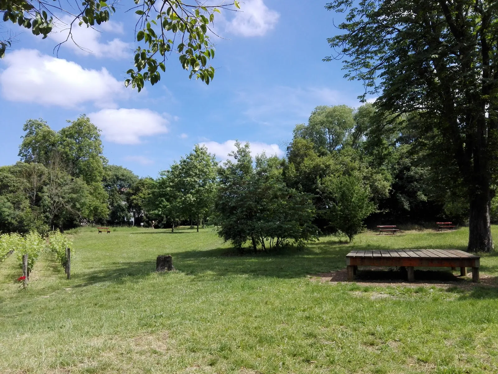 Jardin De la Béchade — photo 1