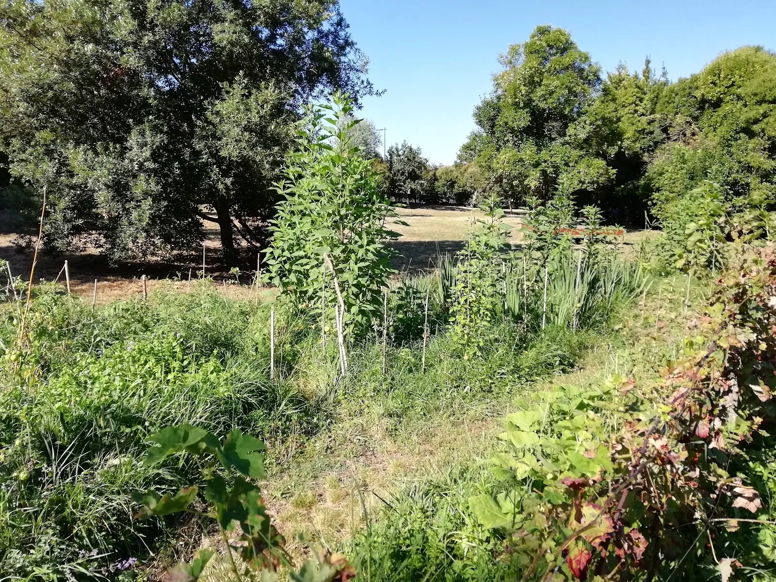 Jardin De la Béchade