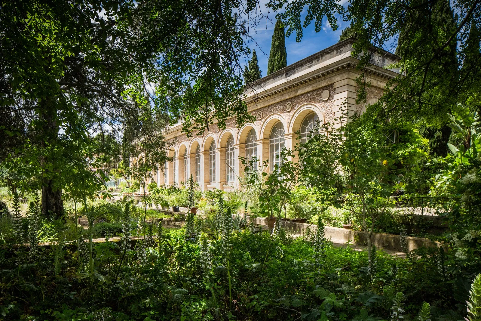Jardin Des Plantes De Montpellier