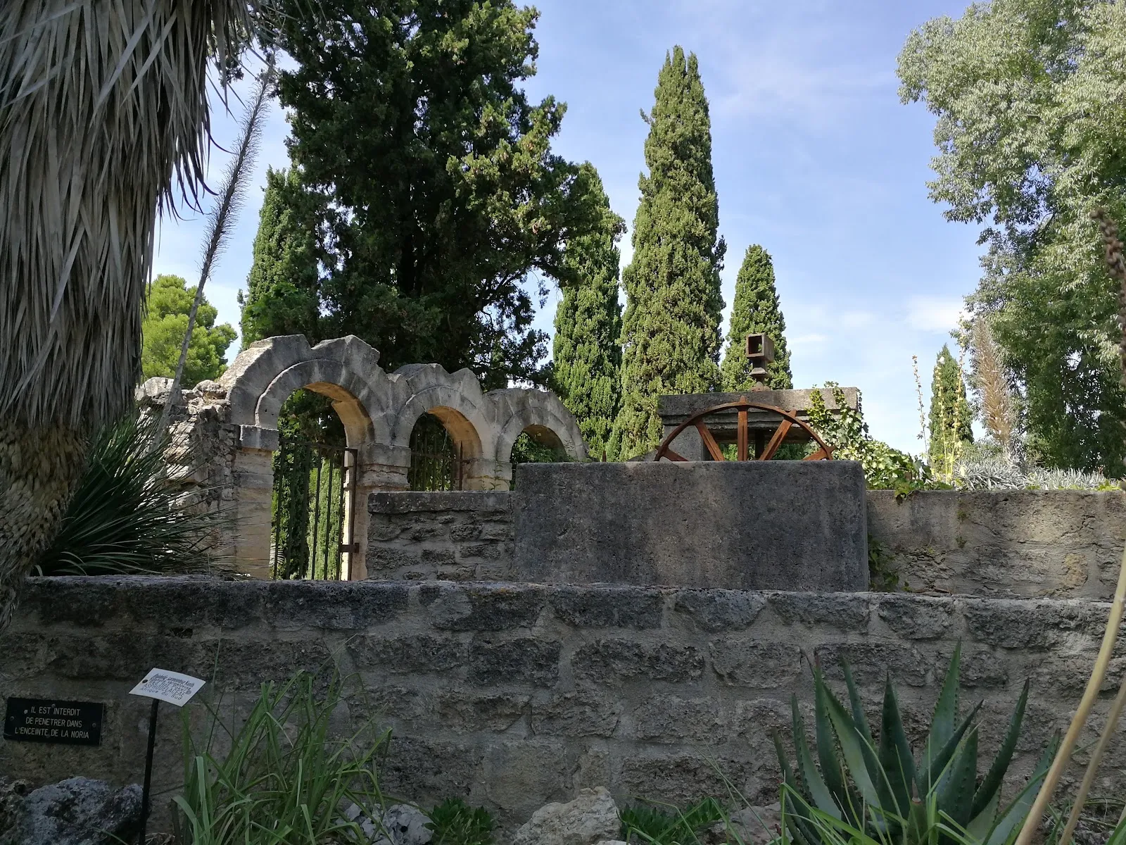 Jardin Des Plantes De Montpellier