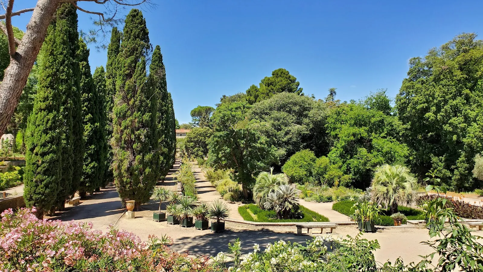 Jardin Des Plantes De Montpellier