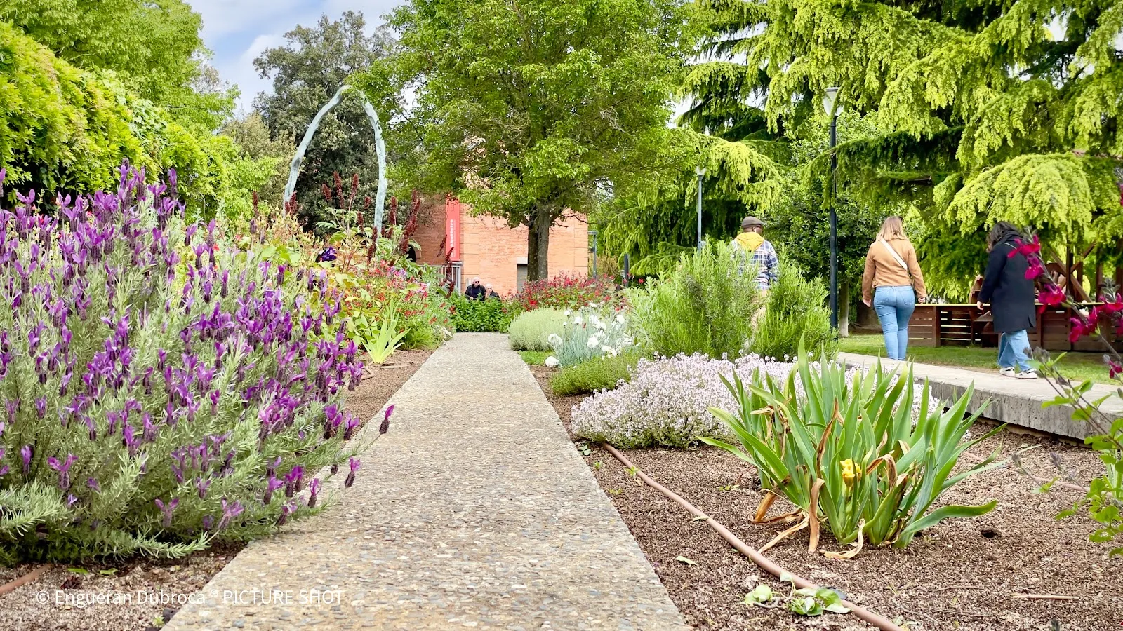 Jardin Des Plantes Sauvages À Histoires — photo 1