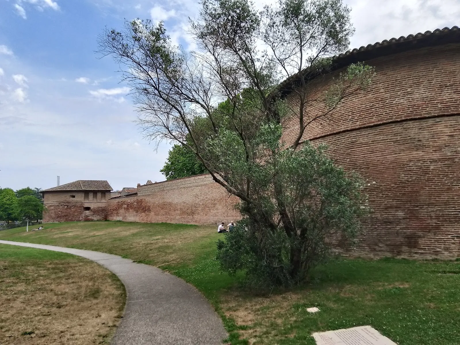 Jardin Des Plantes Sauvages À Histoires