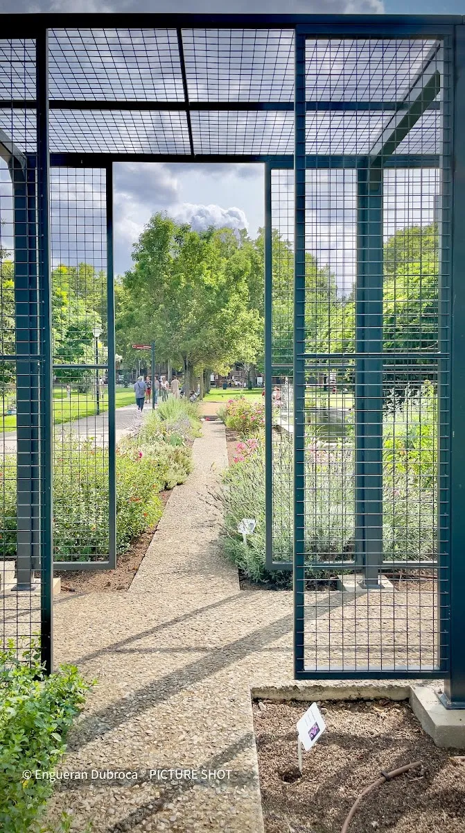 Jardin Des Plantes Sauvages À Histoires
