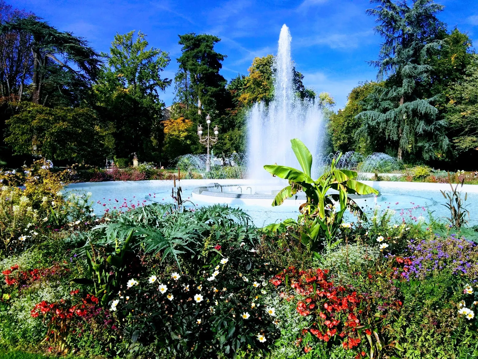 Jardin Des Plantes — photo 1