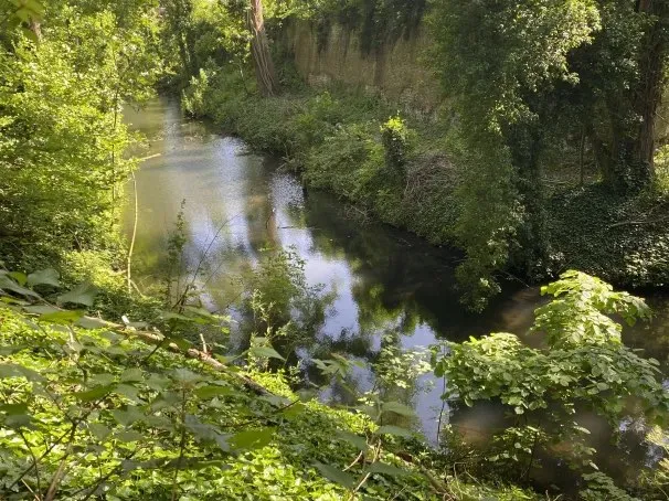Jardin Écologique De Lille — photo 1