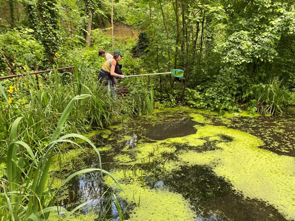 Jardin Écologique De Lille