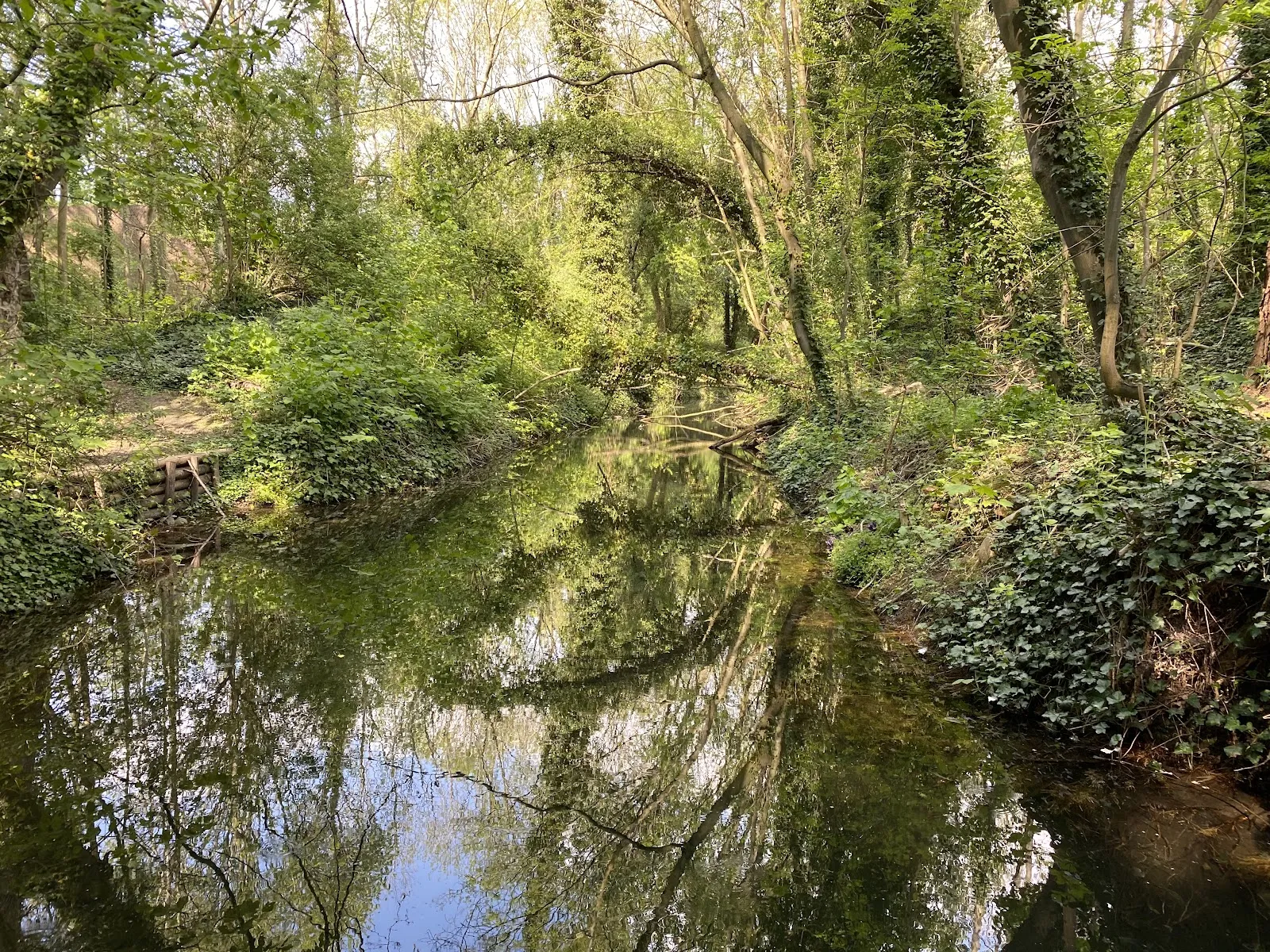 Jardin Écologique De Lille