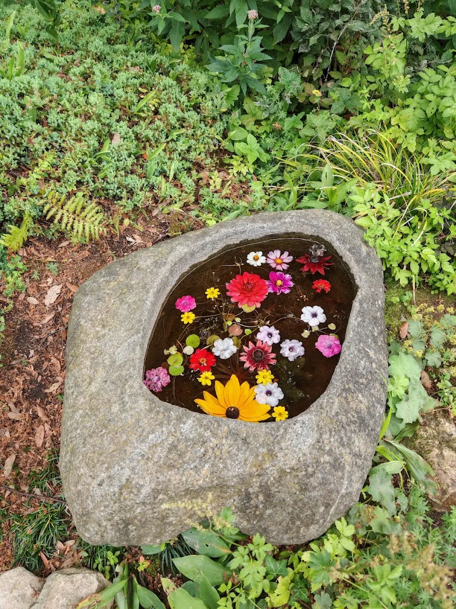 Jardin Japonais — photo 1