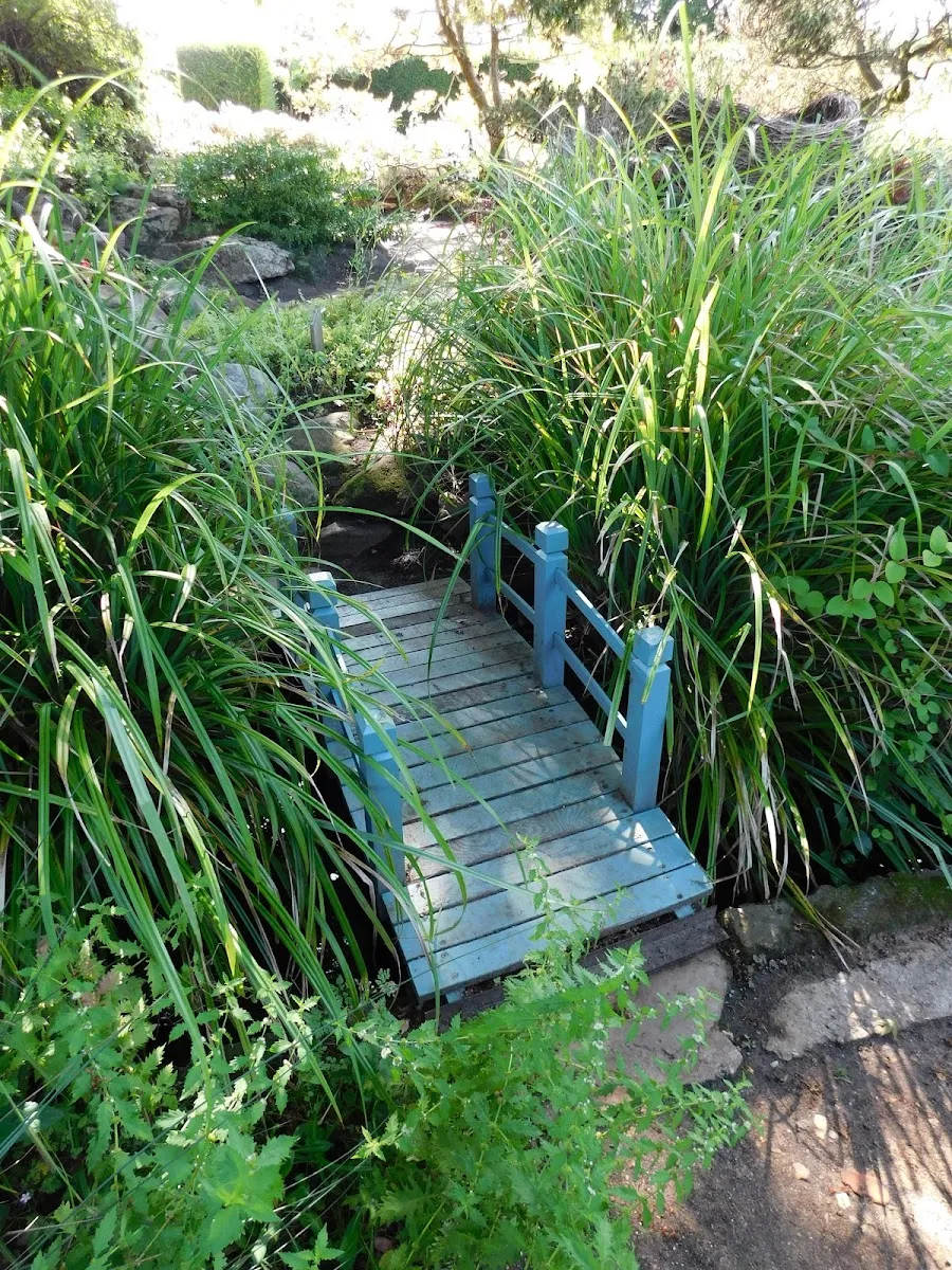 Jardin Japonais