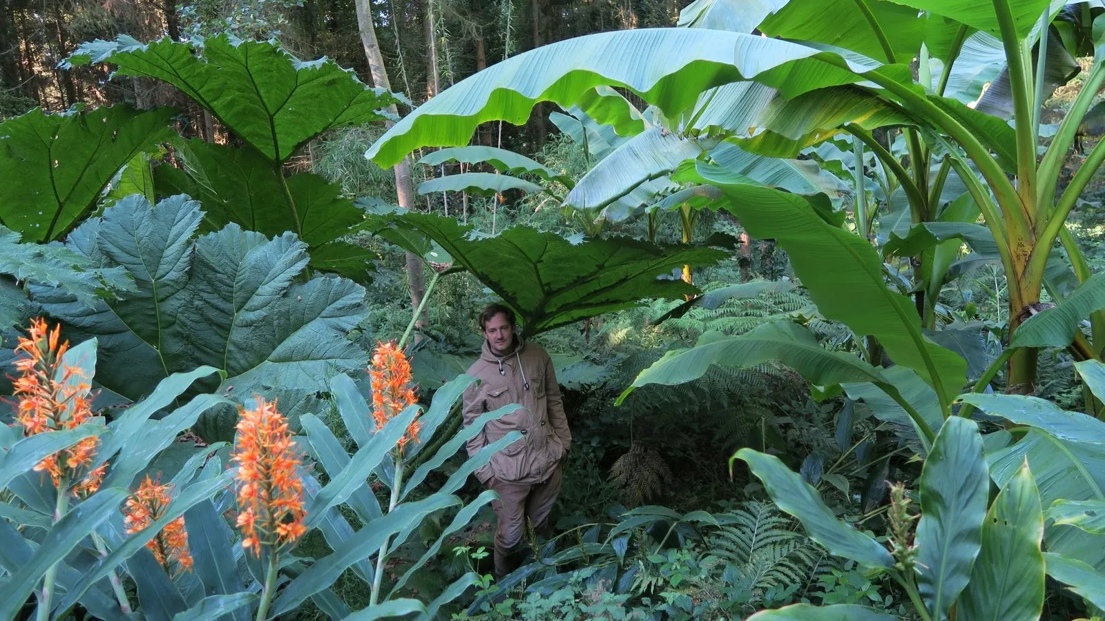 Jardin Jungle — photo 1