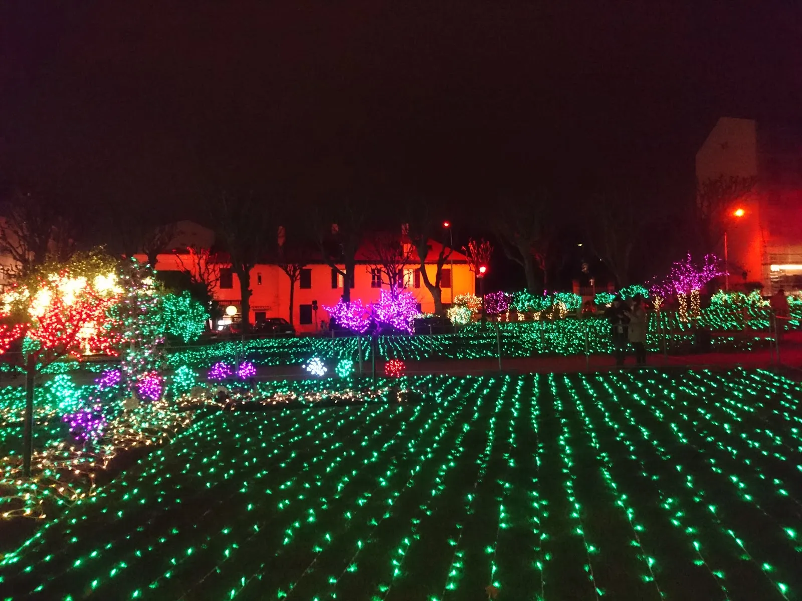 Jardin Public Pierre Forsans