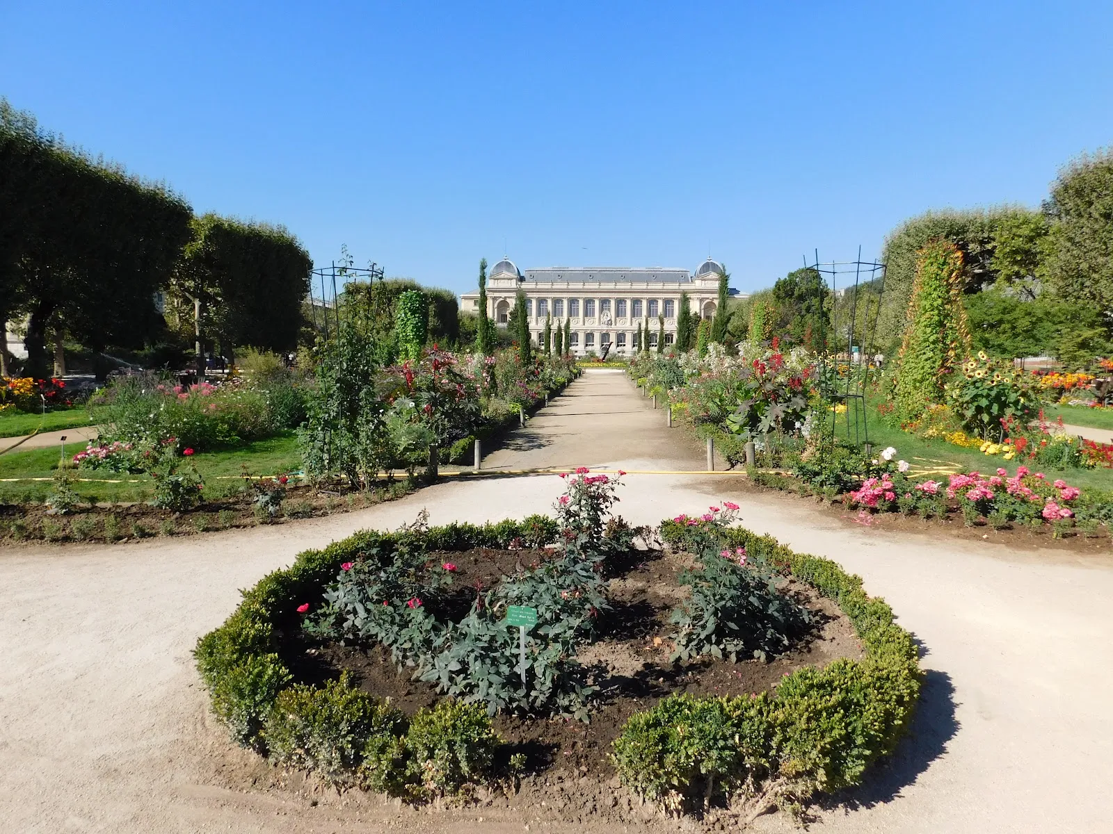 Jardin des Plantes (Roseraie & Pivoines)