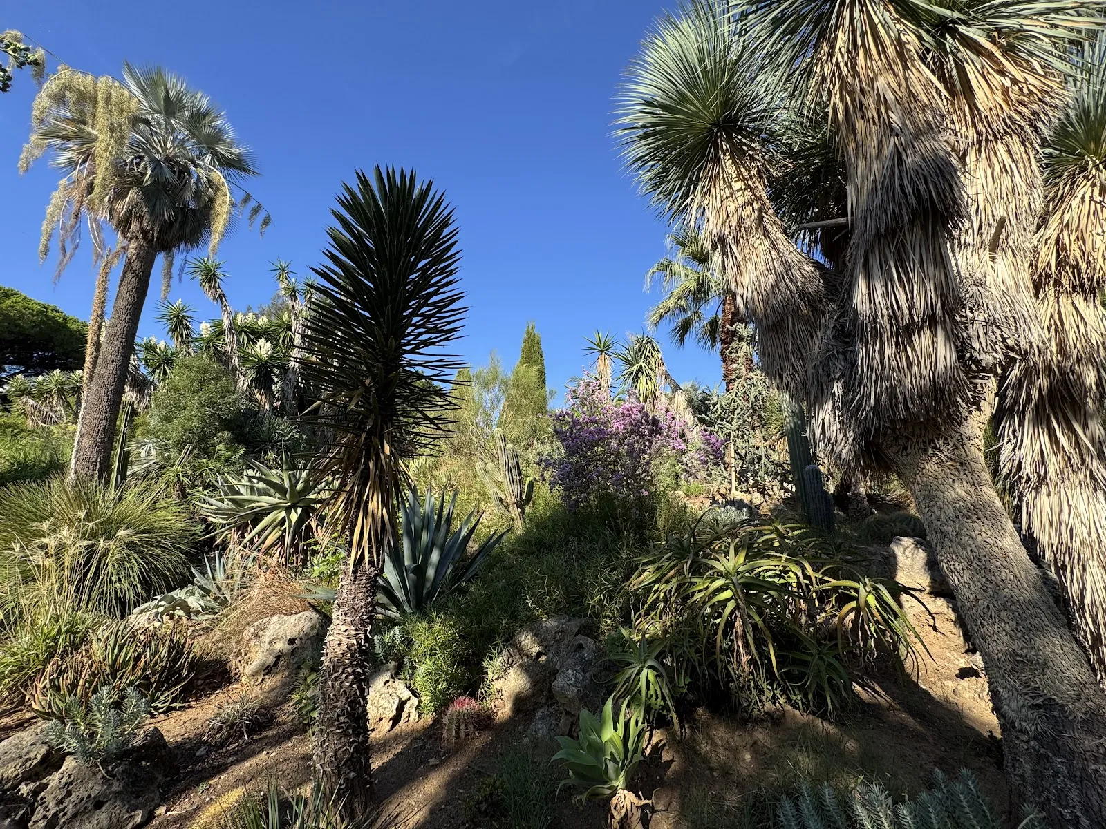 Jardin Zoologique Tropical — photo 1