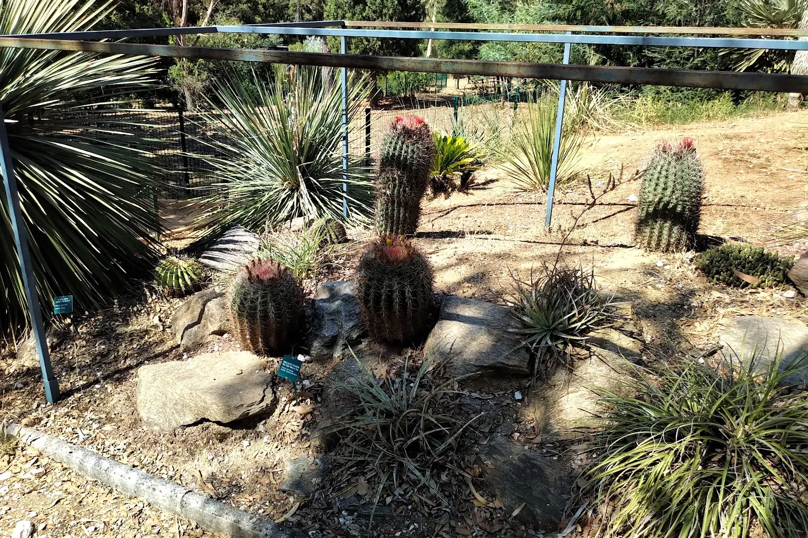 Jardin Zoologique Tropical
